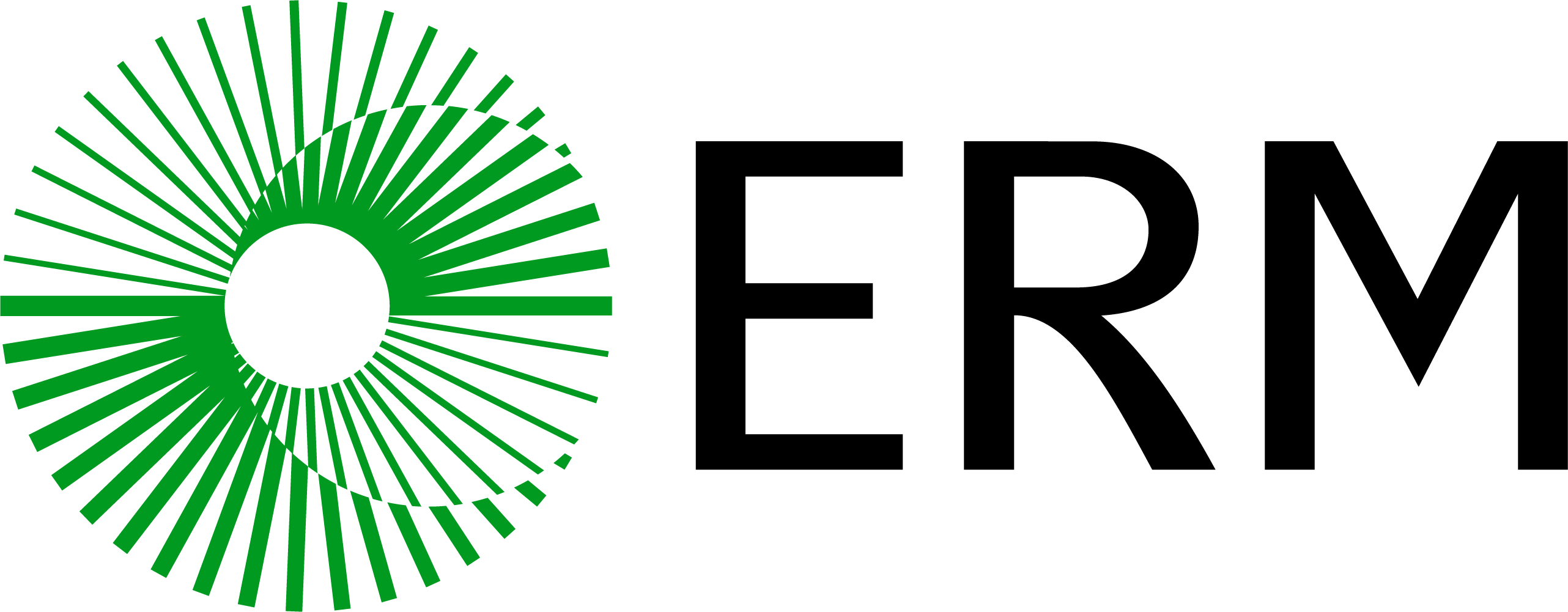 https://www.erm.com/